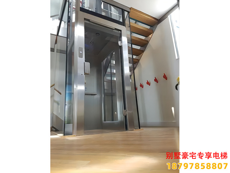 九龙县精装私家别墅电梯