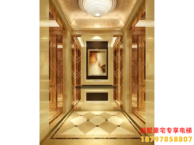 西藏自建房电梯装潢